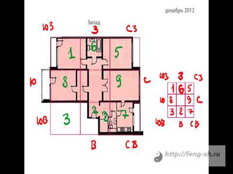 Видео: Секретные правила расселения Летящих звезд по комнатам