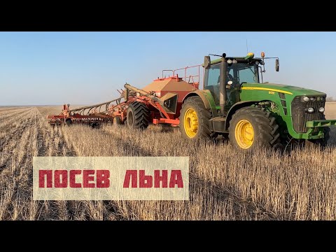 Видео: Посев льна без обработки почвы