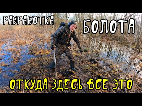 Видео: Разработка болота с  DEUS 2. Откуда здесь все это.