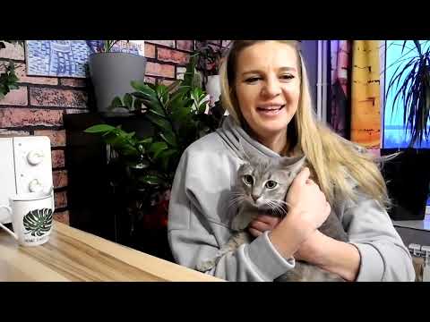 Видео: Не бойтесь брать животных с улицы // Люди с добрым сердцем