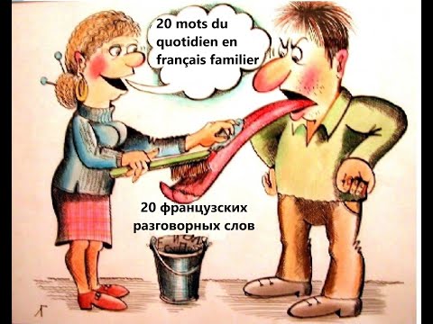 Видео: Учим разговорный французский. 20 mots en français familier. С иллюстрациями. Просто и доступно.
