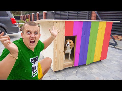 Видео: НОВАЯ БУДКА ДЛЯ ШЕРЛОКА. БРОС ШОУ ПЕТ