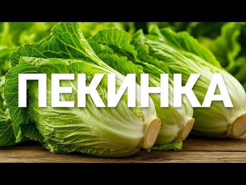 Видео: Что приготовить из пекинской капусты: 4 идеи - салат, кимчи, закуска, сэндвичи