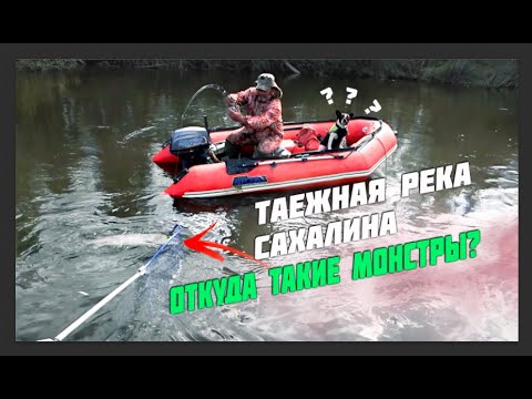 Видео: ТАЁЖНАЯ РЕКА ЗАБИТА КРУПНЫМ ТАЙМЕНЕМ!! ОХ УЖ ЭТИ САХАЛИНСКИЕ МОНСТРЫ!!!