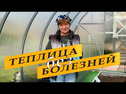 Видео: Чем мою и обрабатываю теплицу. Отвечаю на вопросы.