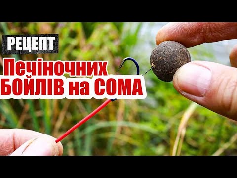 Видео: 🇺🇦Рецепт БОЙЛІВ на СОМА + снасть на сома + Підводна зйомка