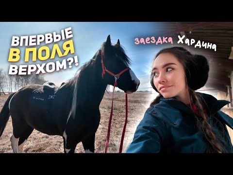 Видео: Первый выезд в поля на Хардине и что из этого вышло... / Расчистка Тессы и занятие с жеребенком