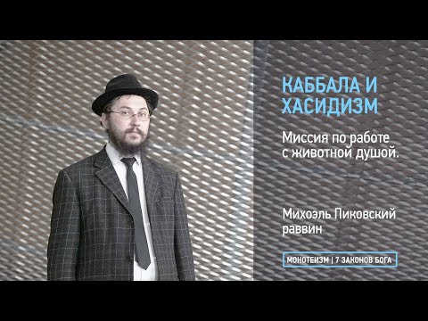 Видео: Миссия по работе с животной душой.