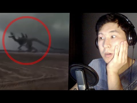 Видео: Камераға түсіп қалған ҮЛКЕН ҚОРҚЫНЫШТЫ ҚҰБЫЖЫҚТАР 👽 #2