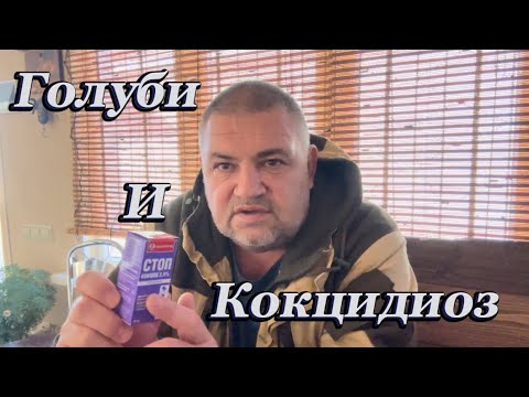 Видео: Голуби и кокцидиоз