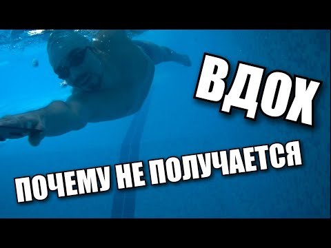 Видео: ФИЗИКА ПЛАВАНИЯ - ВДОХ! ПОЧЕМУ НЕ ПОЛУЧАЕТСЯ? ОБЯЗАТЕЛЬНОЕ ВИДЕО ДЛЯ НАЧИНАЮЩИХ!