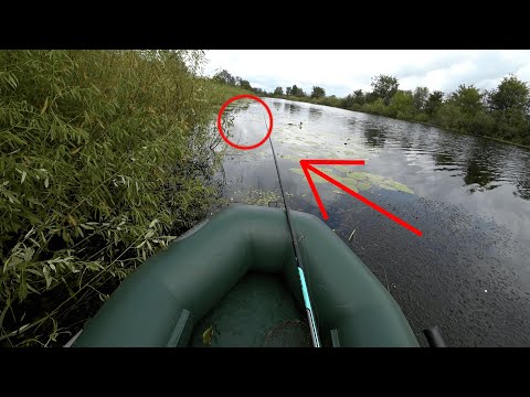 Видео: БЕШЕННЫЙ КЛЁВ КАРАСЯ, только и успеваешь червей цеплять!