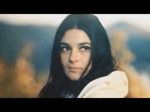 Видео: Мохнатый шмель А Петров, Р Киплинг Исп Аксенова Вера Verax