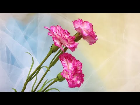 Видео: ABC TV | Как Сделать Цветок Гвоздики # 1 - Учебник Ремесла