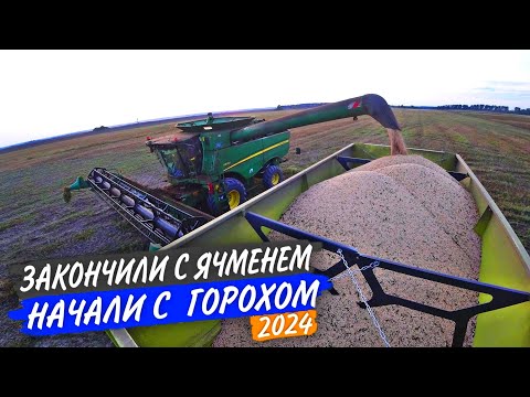 Видео: 🌾На ГОРОХЕ пыли много, а УРОЖАЯ мало. Забили молотилку на РСМ-161 и John Deere S660.