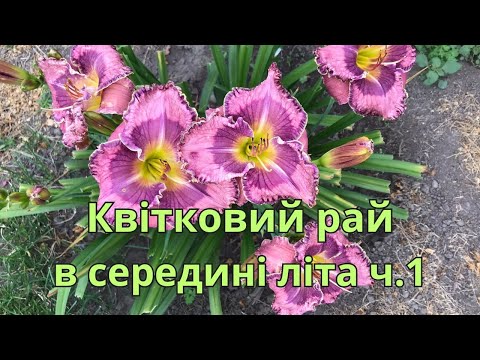 Видео: Квітковий рай в середині літа. ч.1