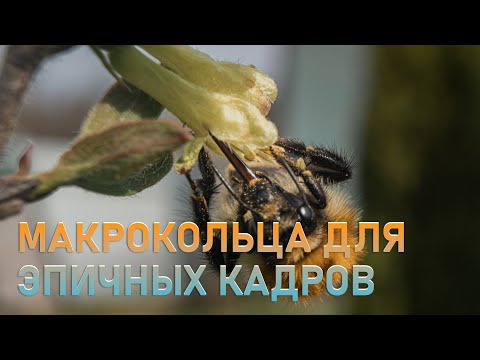 Видео: Как прокачать себя по фото и видео. Макрокольца для эпичных кадров
