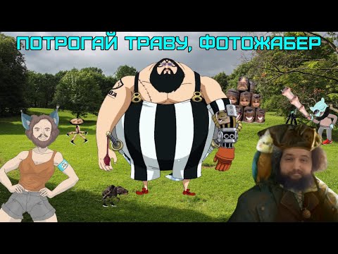 Видео: Бэбэй отправляет фотожаберов потрогать траву