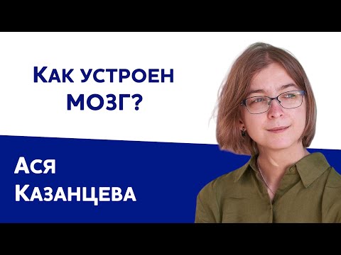 Видео: Как устроен мозг? | Ася Казанцева | Ковчег без границ