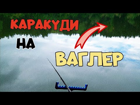 Видео: ЗА КАРАКУДИ НА МАЧ С ВАГЛЕР! БОНУС ШАРАНИ