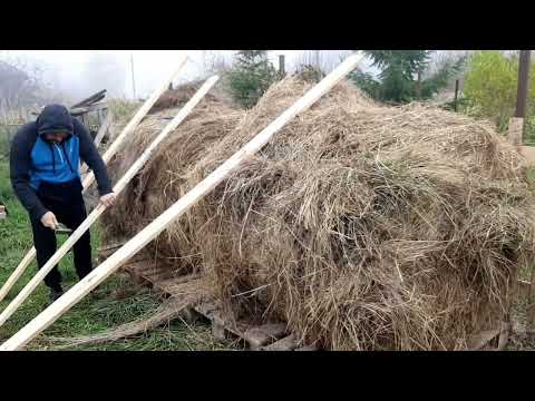 Видео: Купили плохое сено, посадили голубику, повесили хрустальную люстру, Вадим шахтёр...