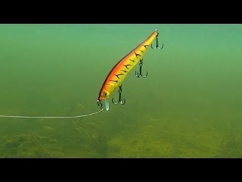 Видео: РЫБАЛКА  🦈🐱 воблеры под водой