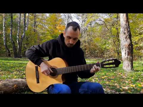 Видео: Біля Тополі - Shumei / Enej (фінгерстайл кавер на гітарі) ноти/таби