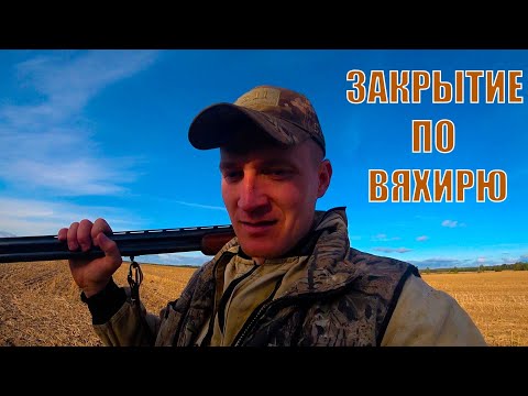 Видео: ЭФФЕКТНОЕ ЗАКРЫТИЕ ОХОТЫ НА ВЯХИРЯ 2025