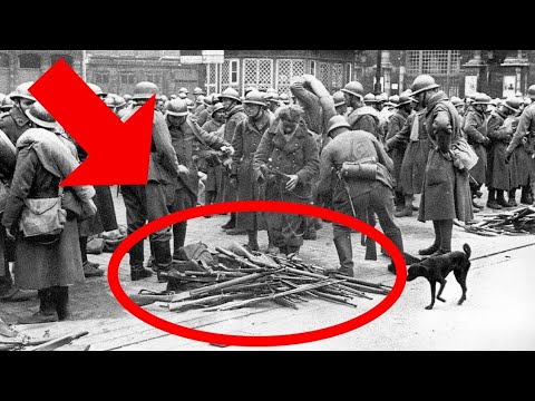 Видео: Немецкий полковник захватил 50 000 галлонов американского топлива — и понял, что Германии пришёл 