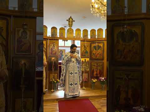 Видео: За това, което Бог  иска от нас (прот. д-р Добромир Димитров)