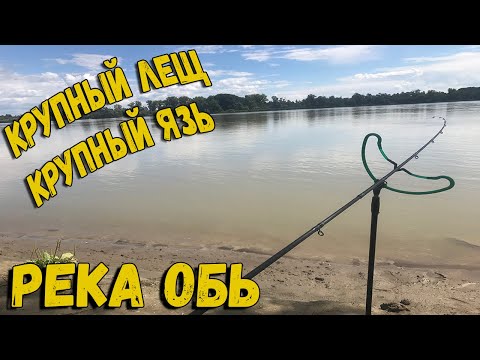 Видео: Рыбалка с ночевкой. Крупный Лещ и Язь на донки и фидер. Река Обь.