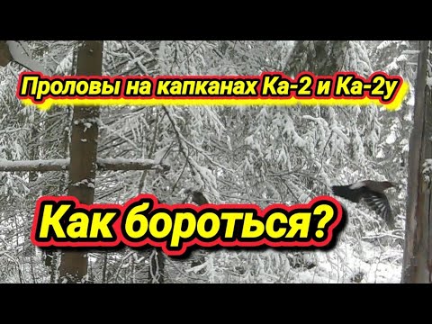 Видео: Борьба с проловами.Промысел 24-25!!!