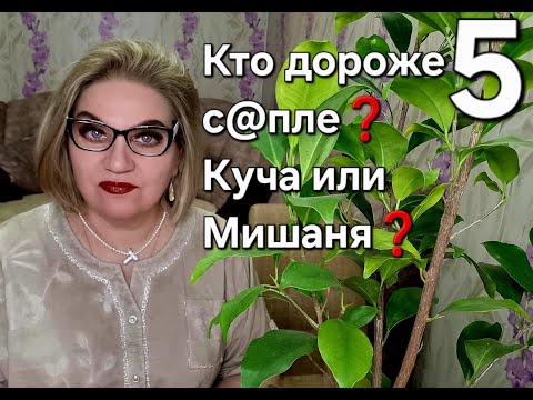 Видео: Кто дороже с@опле? Куча или Мишаня?