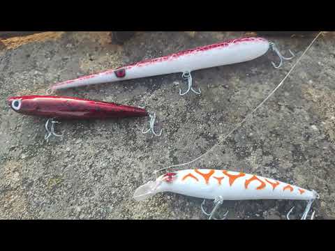 Видео: Риболовно приключение в Гърция Февруари 23!