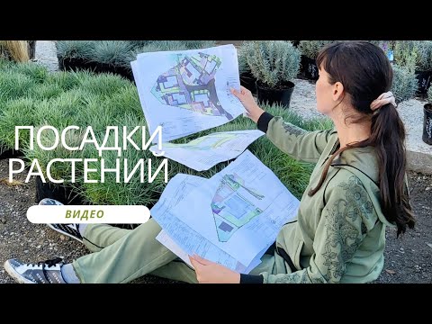 Видео: Посадки и формирование клумб