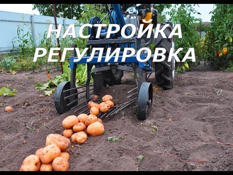 Видео: Настройка и регулировка самокопалки картофеля с  мотоблоком.