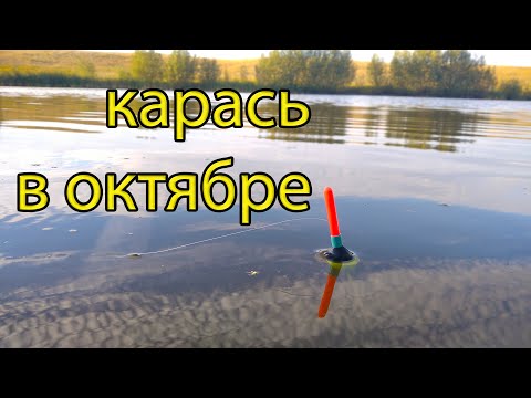 Видео: Как ловить карася в октябре? практика на рыбалке ловли на поплавок.