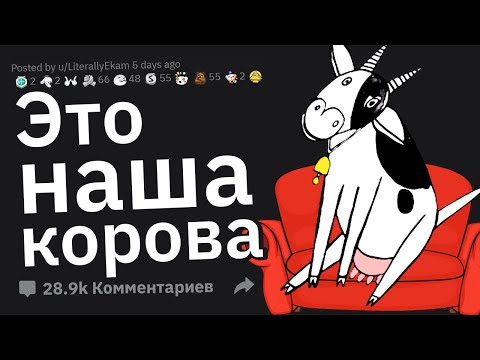 Видео: Странные Привычки в Доме Друзей, Которые Они Считают Нормой