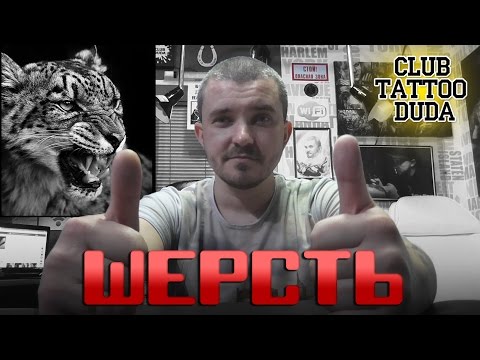 Видео: Все НЮАНСЫ С ШЕРСТЬЮ. Обзор сеанса: БАРС. Тату школа