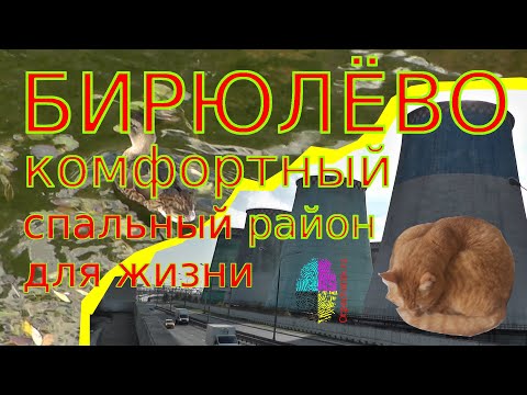 Видео: Обзор (1/3) Бирюлёво - комфортный спальный район Москвы. Make Birulevo rublevka again!