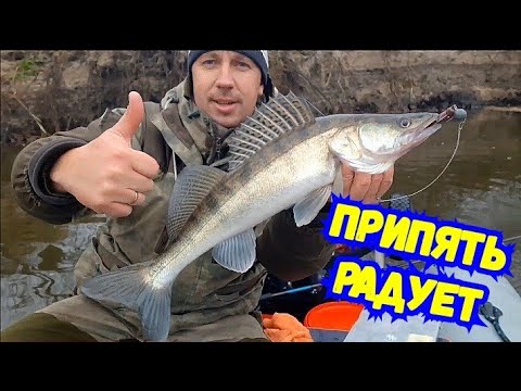 Видео: Ловля судака на Припяти//Джиг.