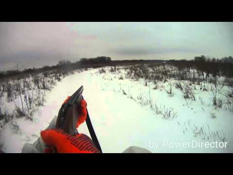 Видео: Охота с ЭГ на зайца русака! Памятные дни!