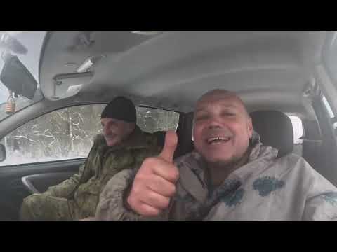 Видео: Охота на кабана . Кучум впервые охотится на Кабанов .