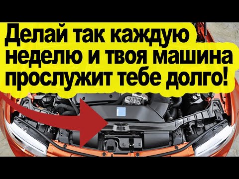 Видео: ПРОДУВАЙ двигатель на трассе каждую неделю! И машина прослужит тебе дольше!