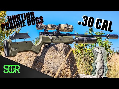 Видео: УНИЧТОЖЬТЕ ЛУГОВЫХ СОБАЧЕК С ПОМОЩЬЮ ULTIMATE Gauntlet .30 CAL!