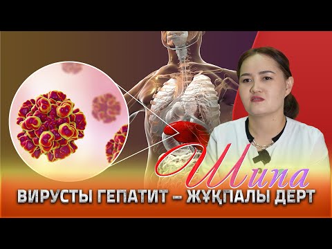Видео: «ШИПА» БАҒДАРЛАМАСЫ | ДИНАРА ЕРТАЙ