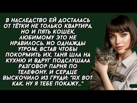 Видео: В наследство ей досталась от тётки не только квартира, но и пять кошек, любимому это не нравилось