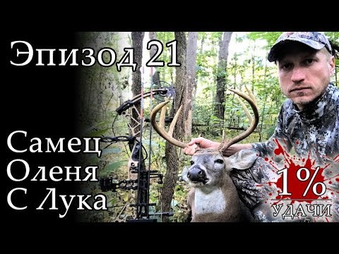 Видео: 1% УДАЧИ. Эпизод 021. Охота на трофейного самца белохвостого оленя с блочным луком