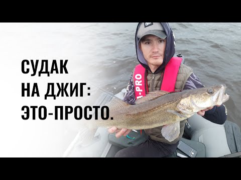 Видео: Судак на джиг. Рыбалка в Казани на спиннинг с лодки. Крупная щука, жерех.