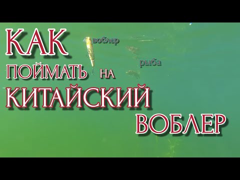 Видео: КАК РАЗЛОВИТЬ КИТАЙСКИЙ ВОБЛЕР? РЫБА СПОСОБНА ЗАПОМНИТЬ ПРИМАНКУ, КИТАЙСКИЕ ВОБЛЕРА КОТОРЫЕ ЛОВЯТ!